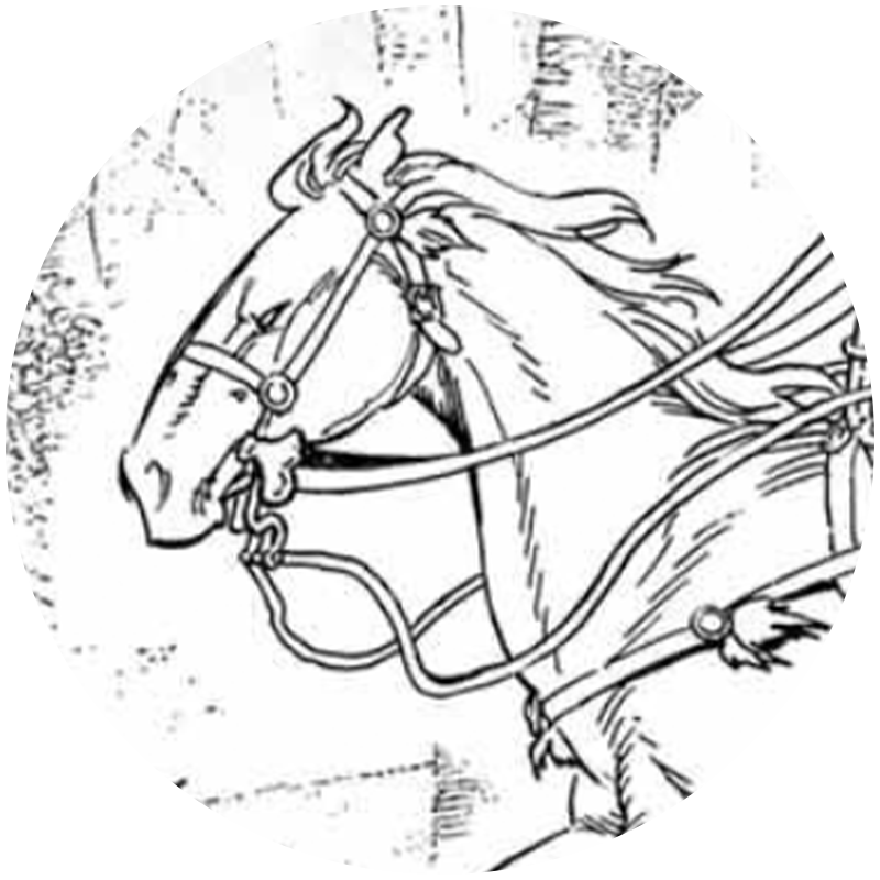 馬