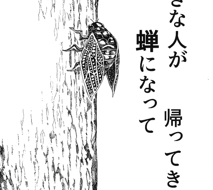 好きな人がセミになって帰ってきた